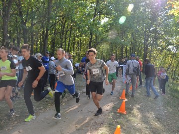 ТД Раздолье