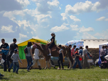 ТД Раздолье