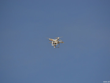 ТД Раздолье