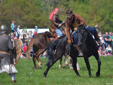 ТД Раздолье