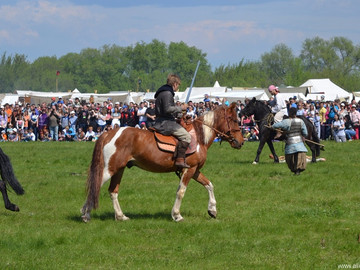 ТД Раздолье