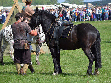 ТД Раздолье
