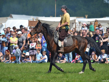 ТД Раздолье