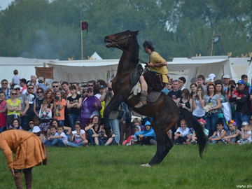 ТД Раздолье