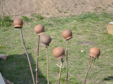 ТД Раздолье