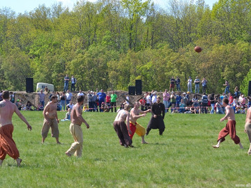 ТД Раздолье