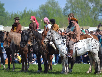 ТД Раздолье