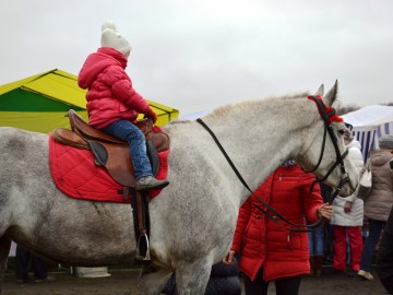 ТД Раздолье