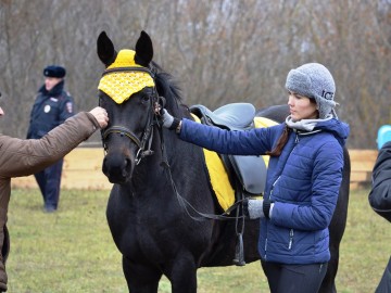 ТД Раздолье