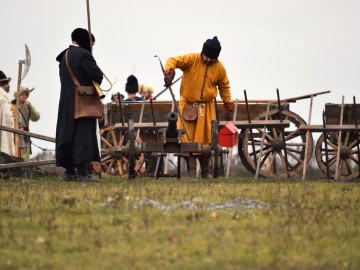 ТД Раздолье