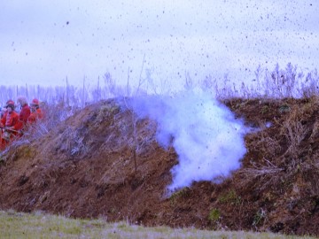 ТД Раздолье