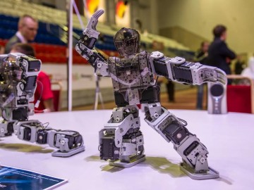 ТД Раздолье