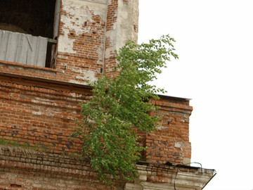 ТД Раздолье