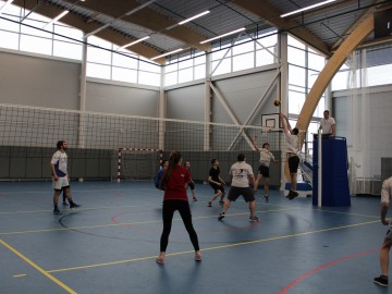 ТД Раздолье