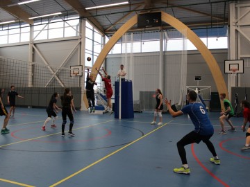 ТД Раздолье