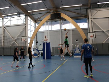 ТД Раздолье