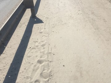 ТД Раздолье