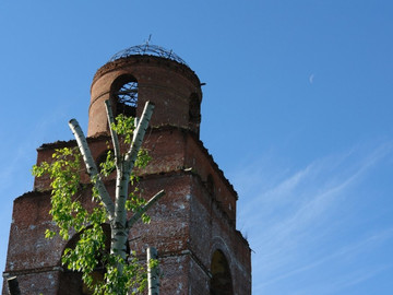 ТД Раздолье