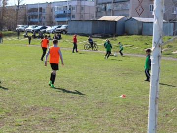 ТД Раздолье