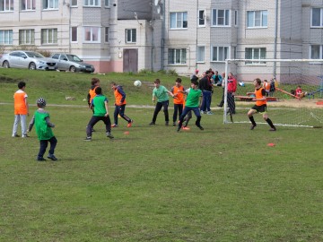 ТД Раздолье