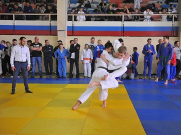 ТД Раздолье