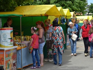 ТД Раздолье