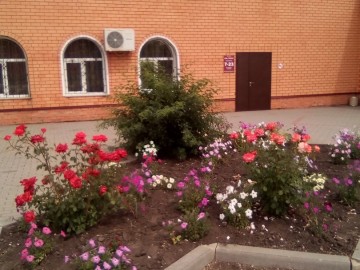 ТД Раздолье