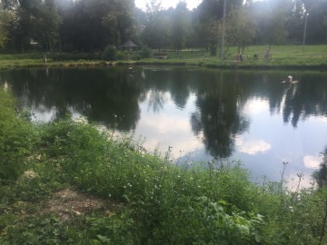 ТД Раздолье