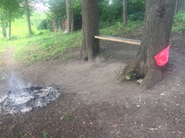 ТД Раздолье