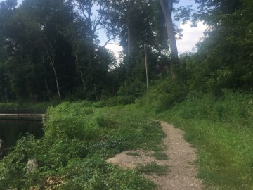 ТД Раздолье