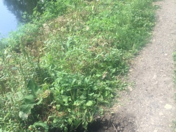 ТД Раздолье