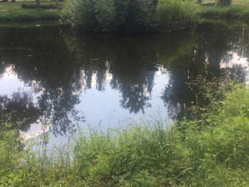 ТД Раздолье