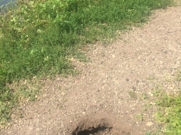 ТД Раздолье