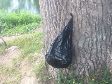 ТД Раздолье