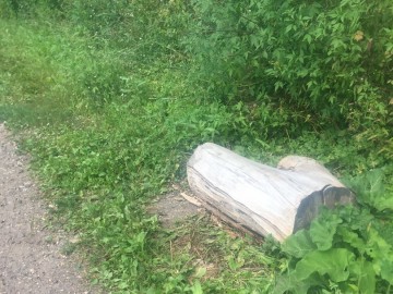 ТД Раздолье